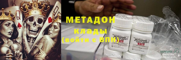 стаф Алексин