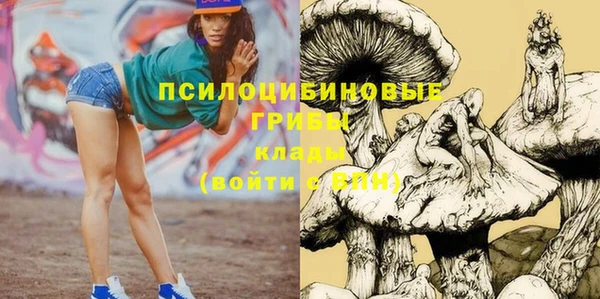 стаф Алексин