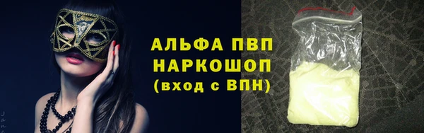 стаф Алексин