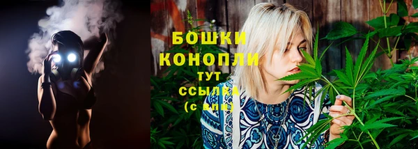 стафф Новокубанск