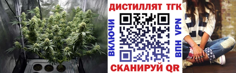 ТГК концентрат  Петровск 