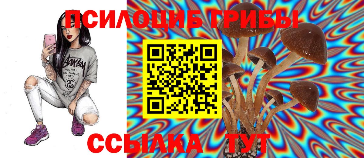 Псилоцибиновые грибы Psilocybine cubensis  Вход с VPN  Галлюциногенные грибы Cubensis  Петровск 