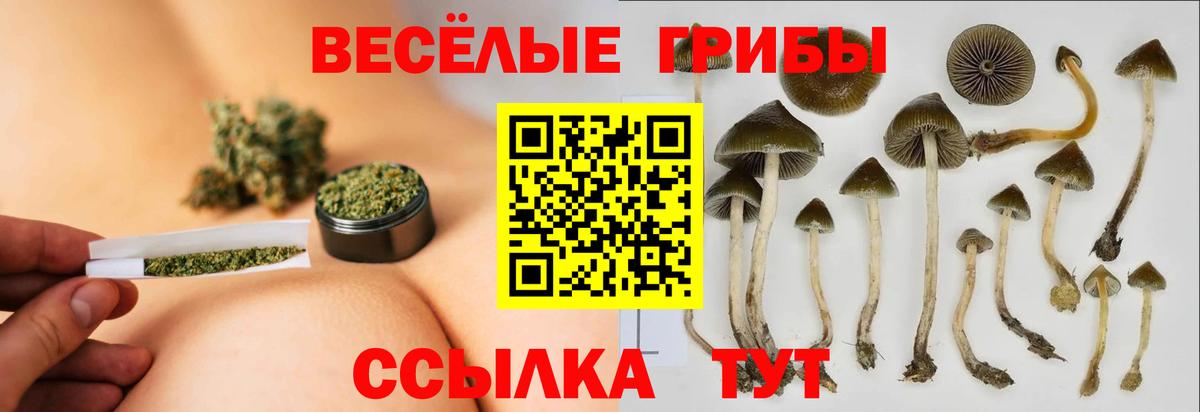 Псилоцибиновые грибы MAGIC MUSHROOMS Петровск